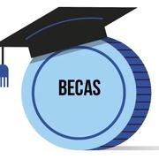 🌟 Buscador de Becas AcceptGO 🌍